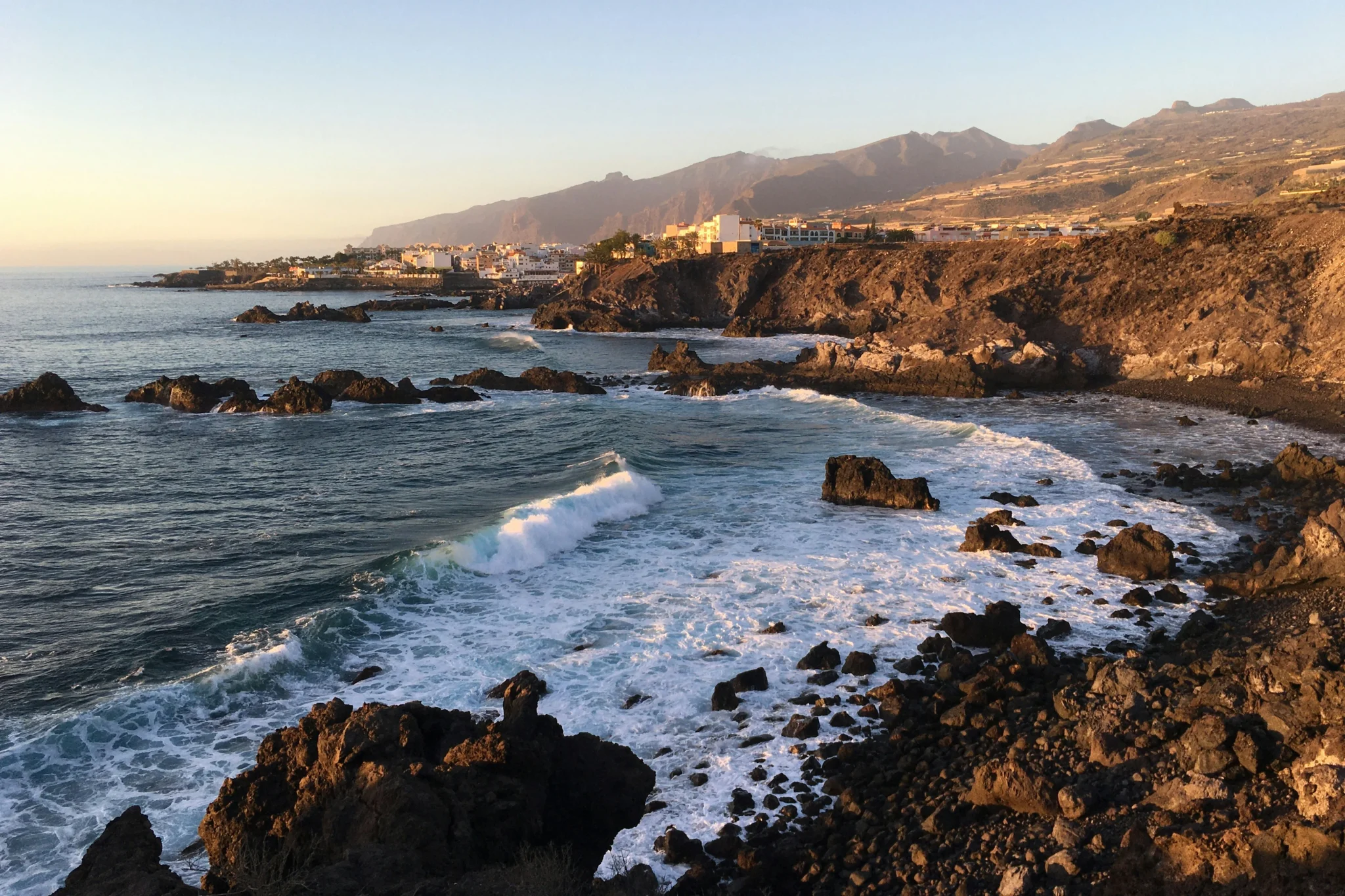 Sfeerfoto- canary - 1