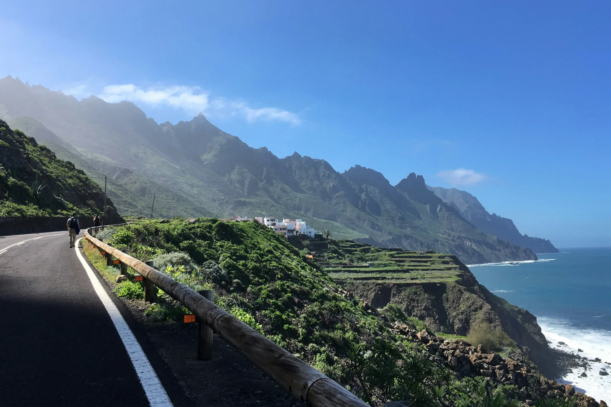 Sfeerfoto- canary - 2