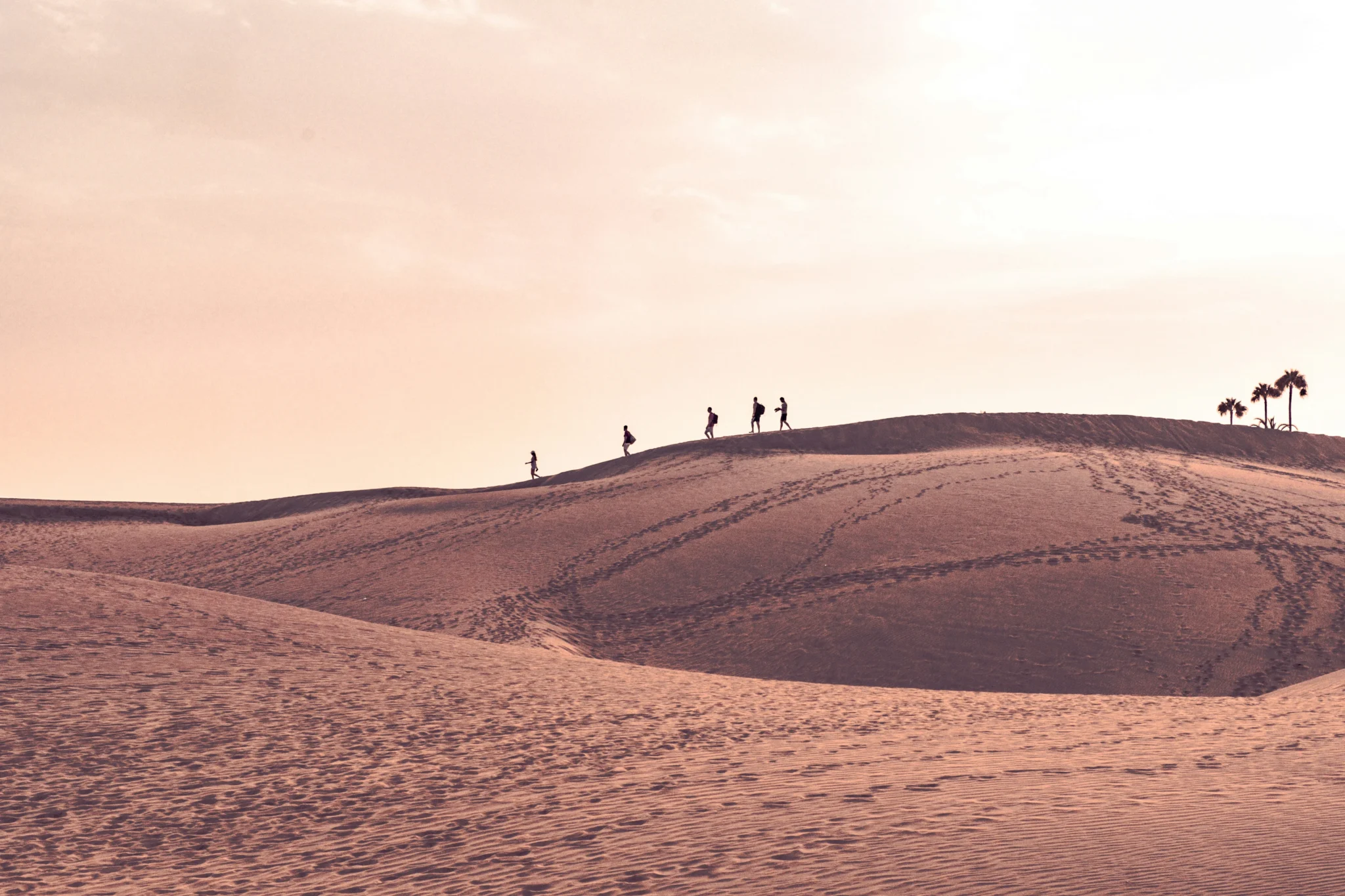 Sfeerfoto- canary - 4