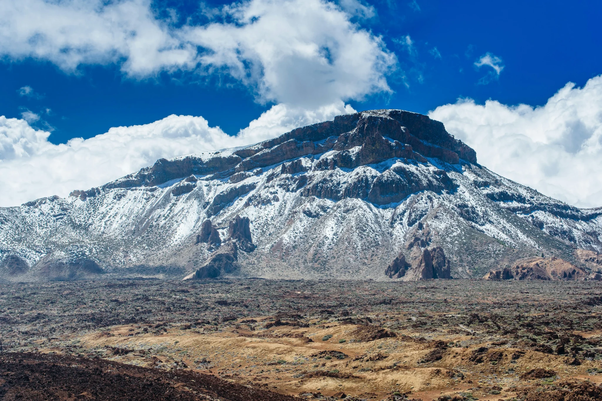 Sfeerfoto- canary - 5