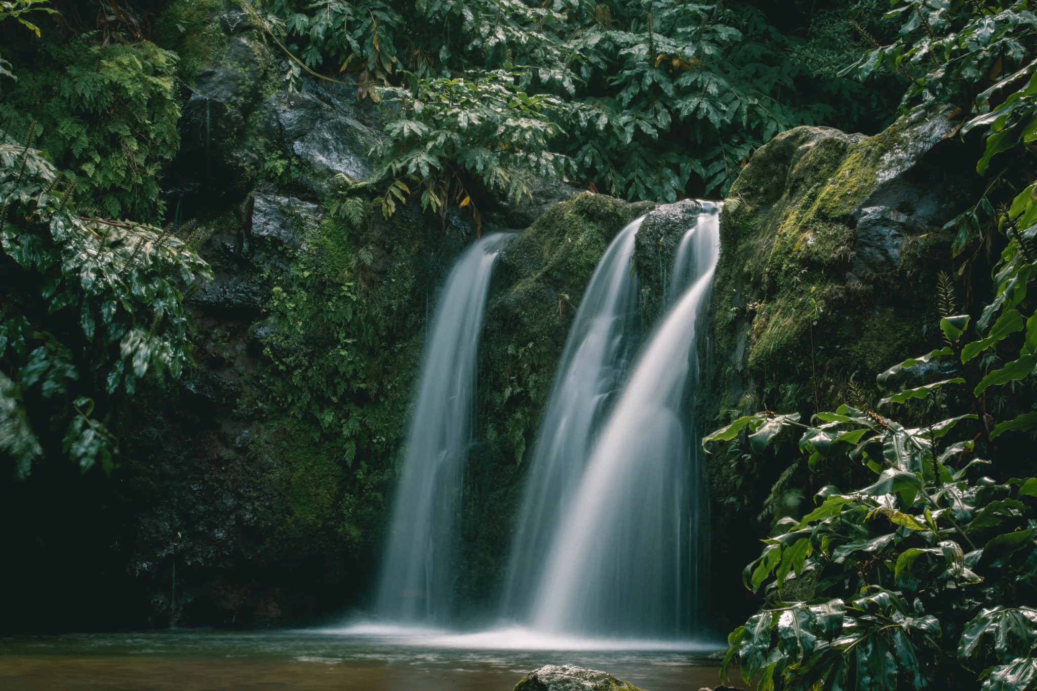 sfeerfoto - Azores - 3