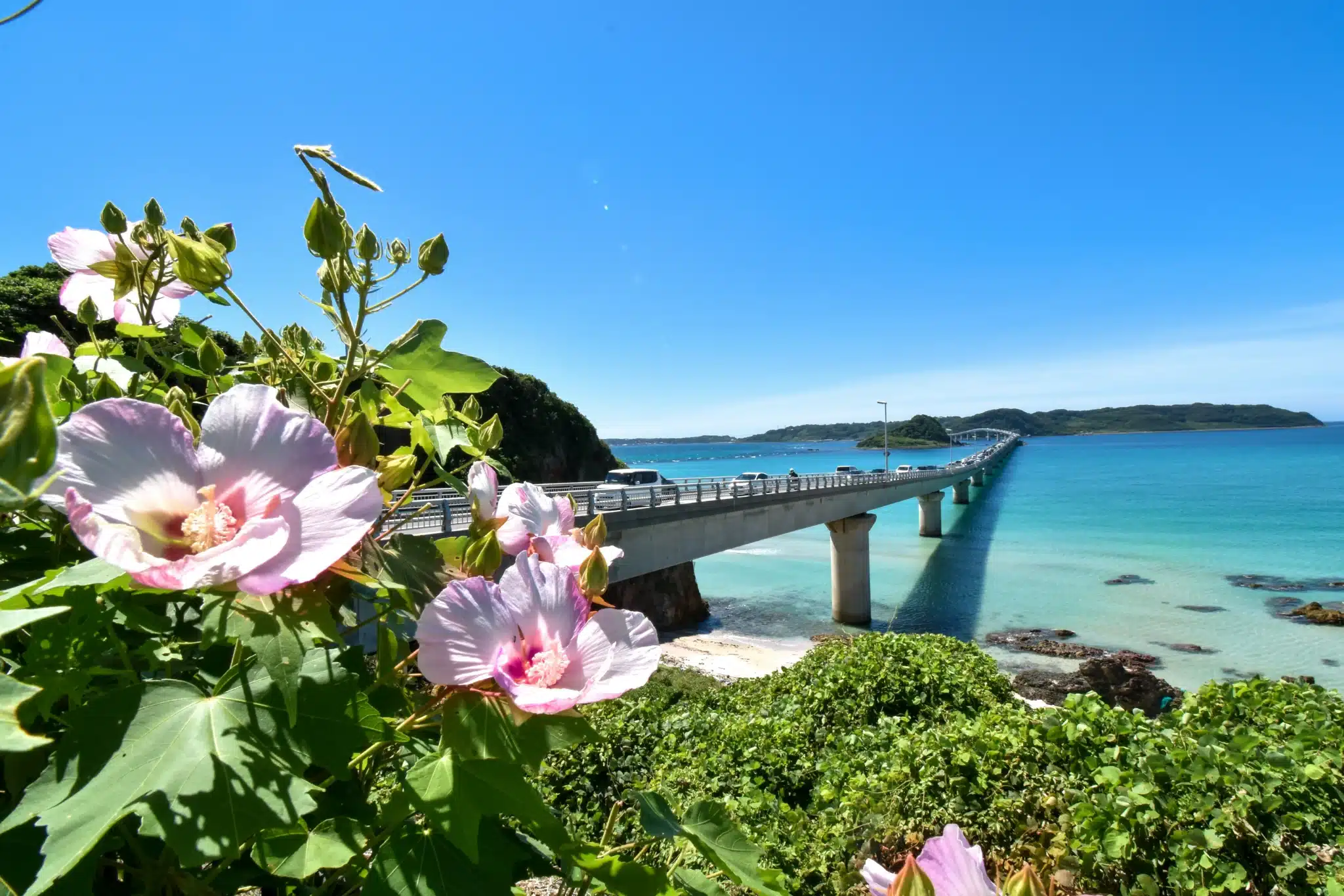 sfeerfoto - Kyushu - 3