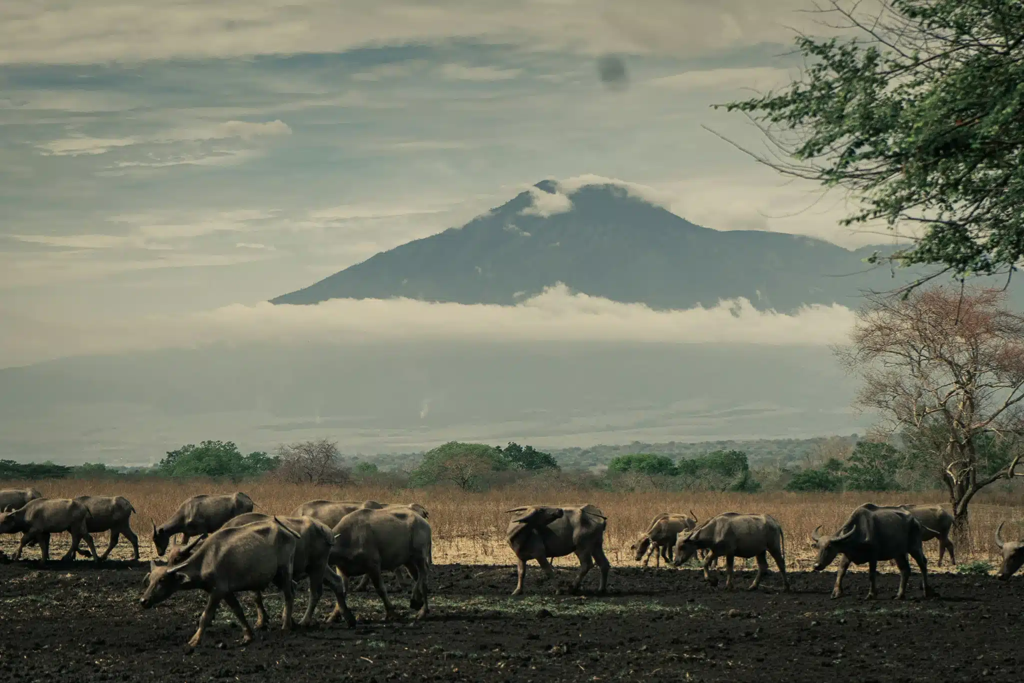 sfeerfoto - java - 1