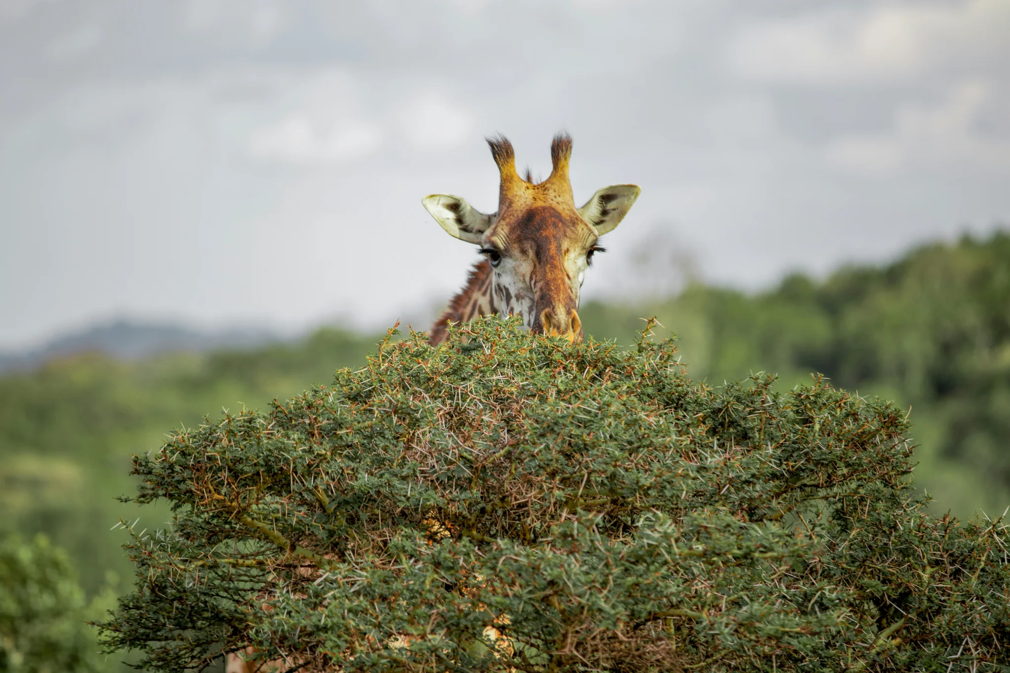 sfeerfoto - Arusha - 3