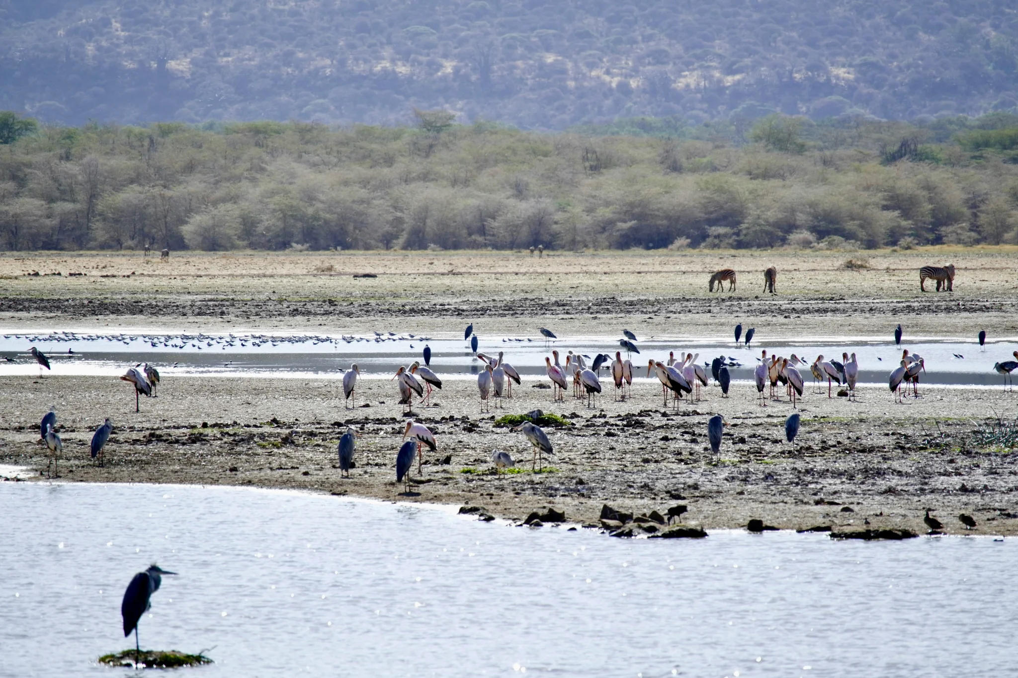 sfeerfoto - Arusha - 4