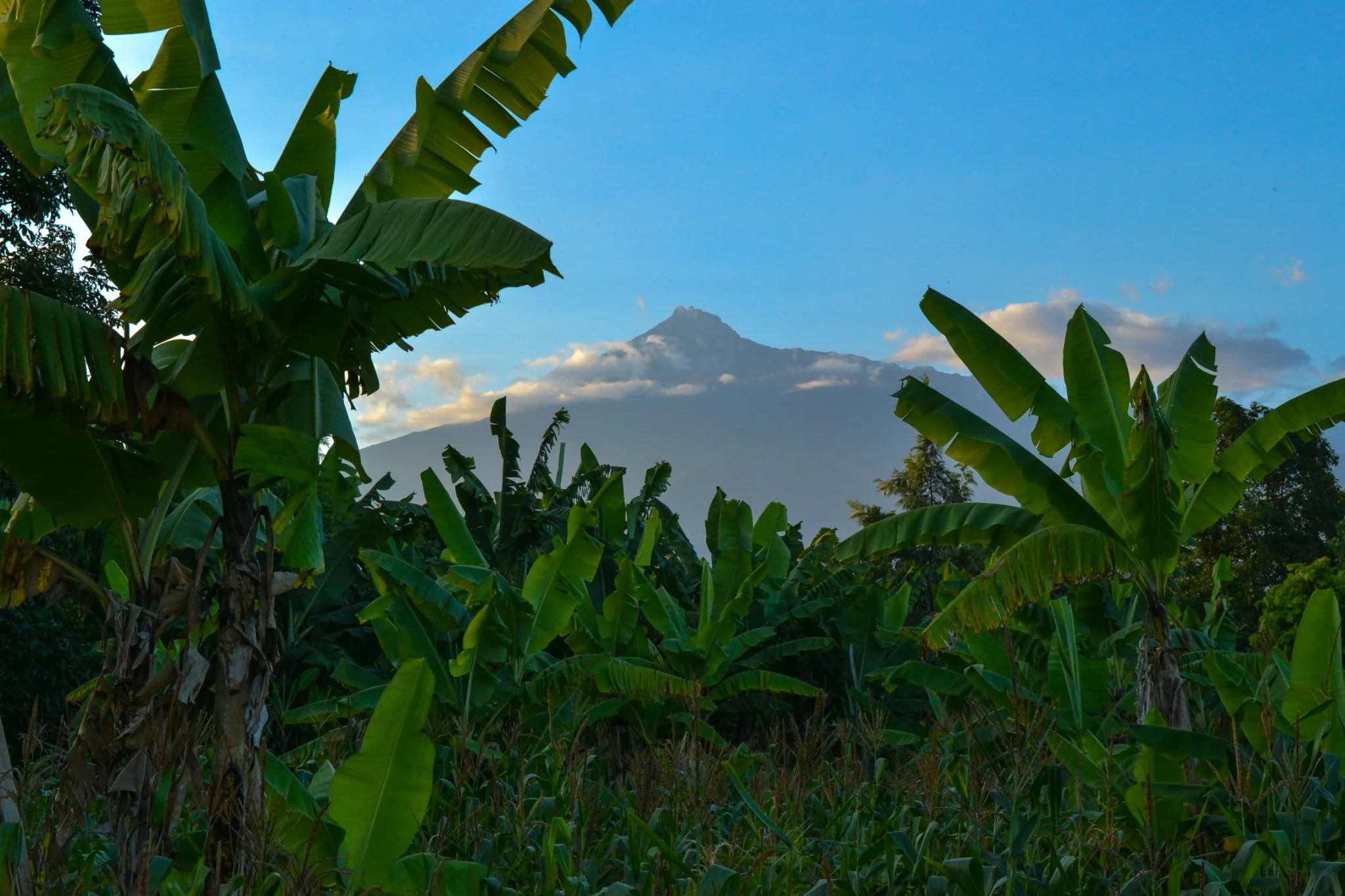 sfeerfoto - Arusha - 5