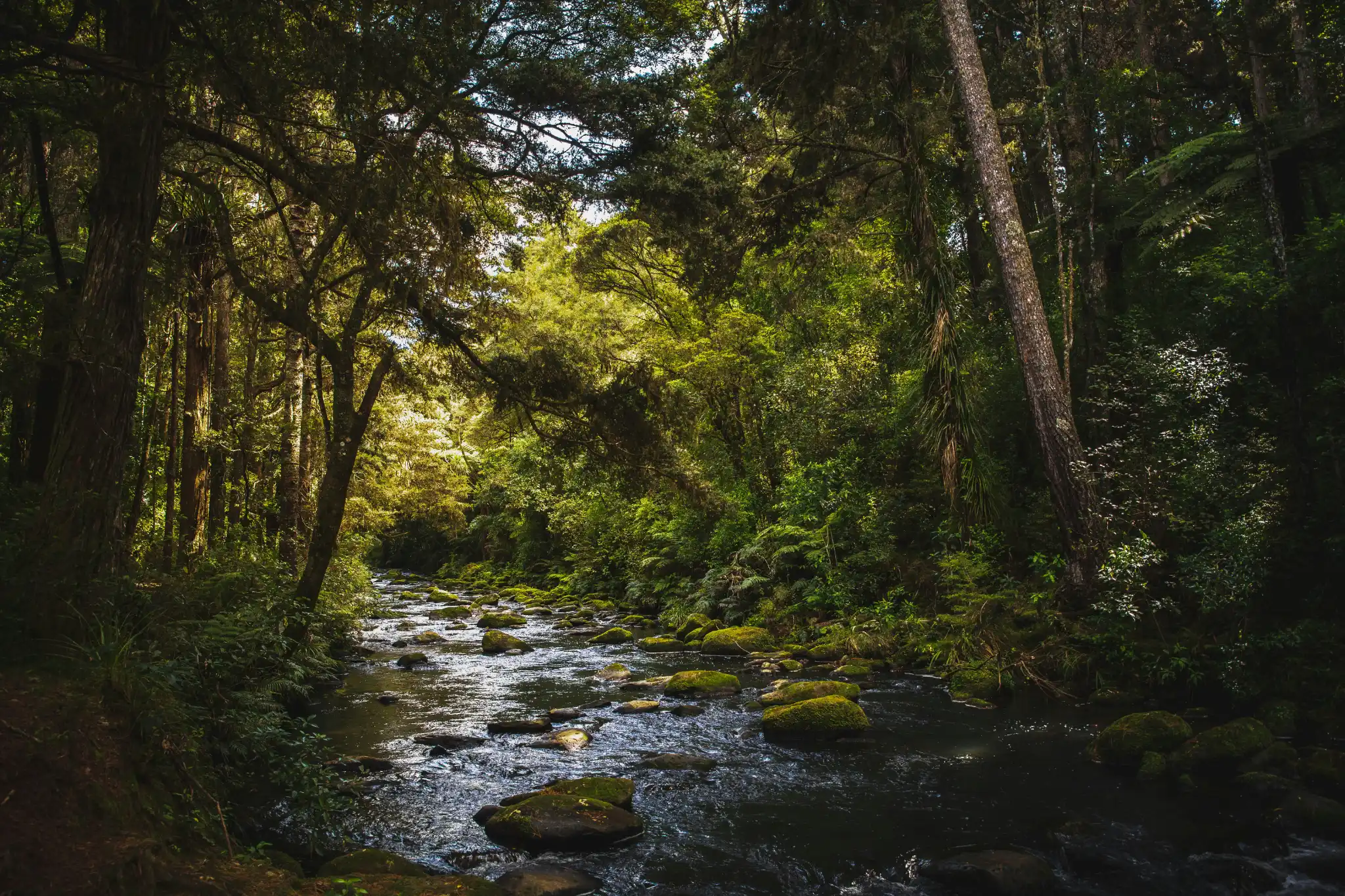 sfeerfoto - Northland - 2