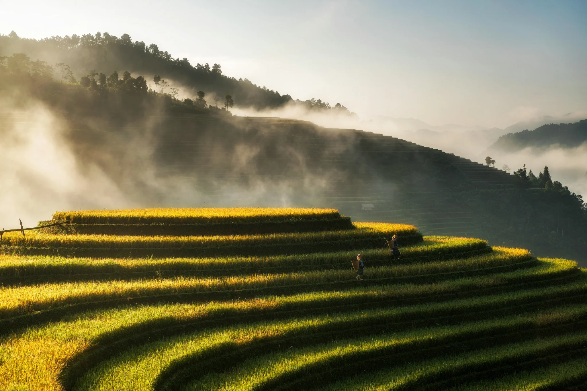 sfeerfoto - Vietnam - 3