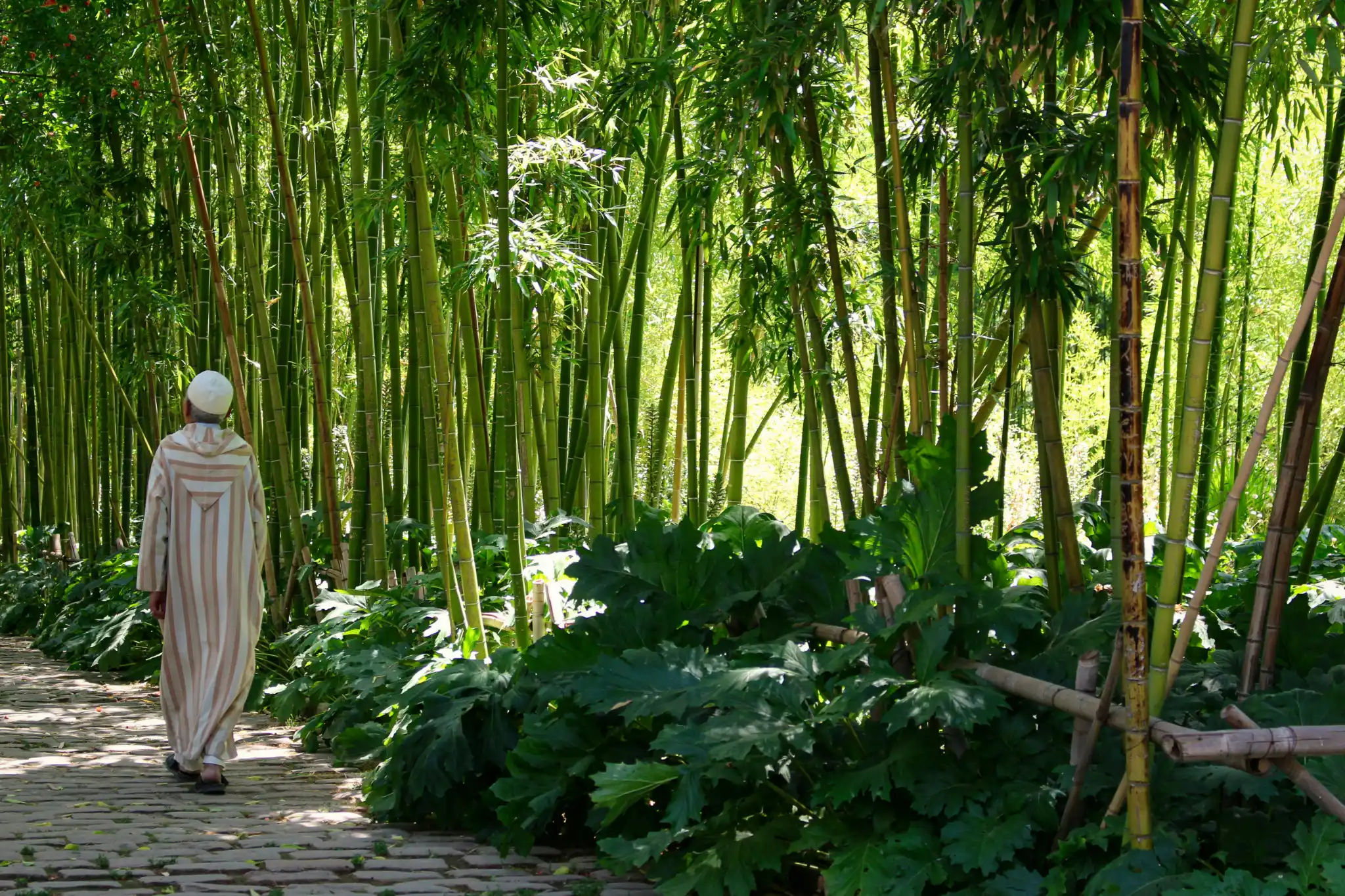 sfeerfoto - fès - 3