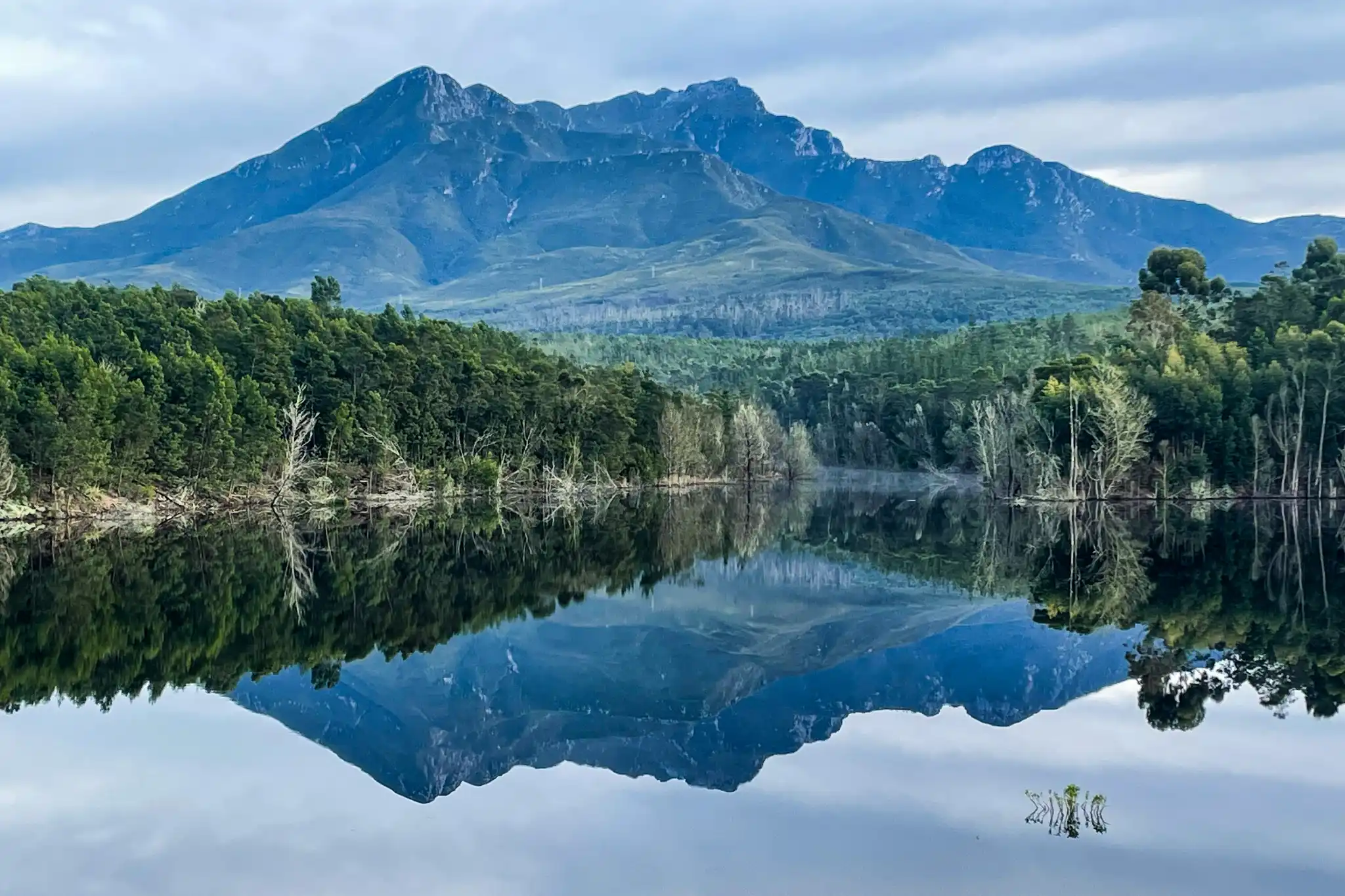 sfeerfoto - garden route - 2