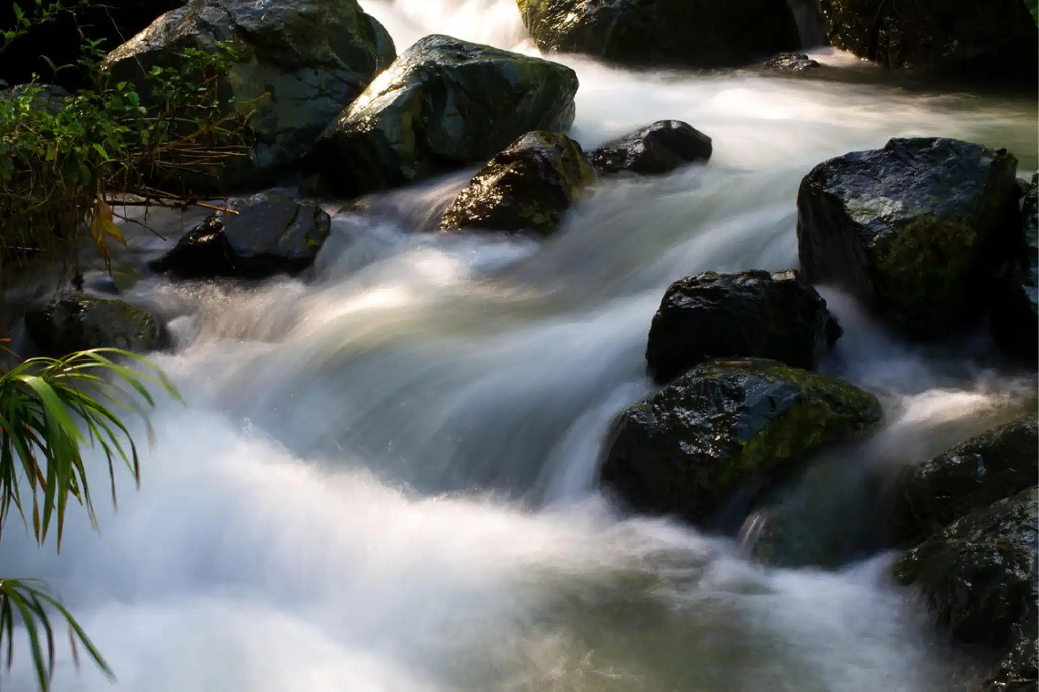 sfeerfoto - jarabacoa - 4