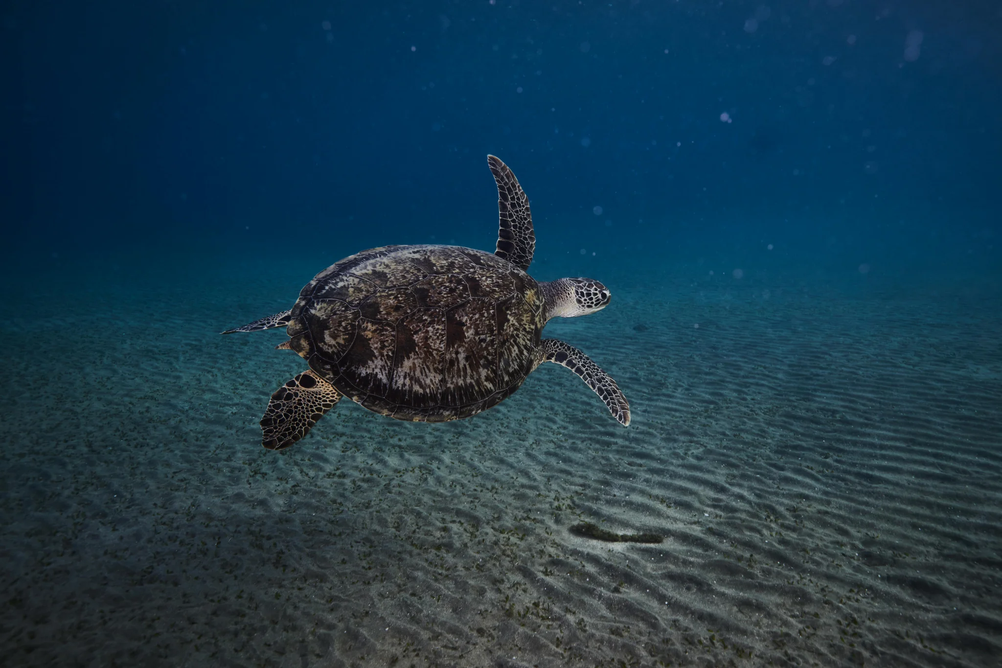 sfeerfoto - marsa alam - 1