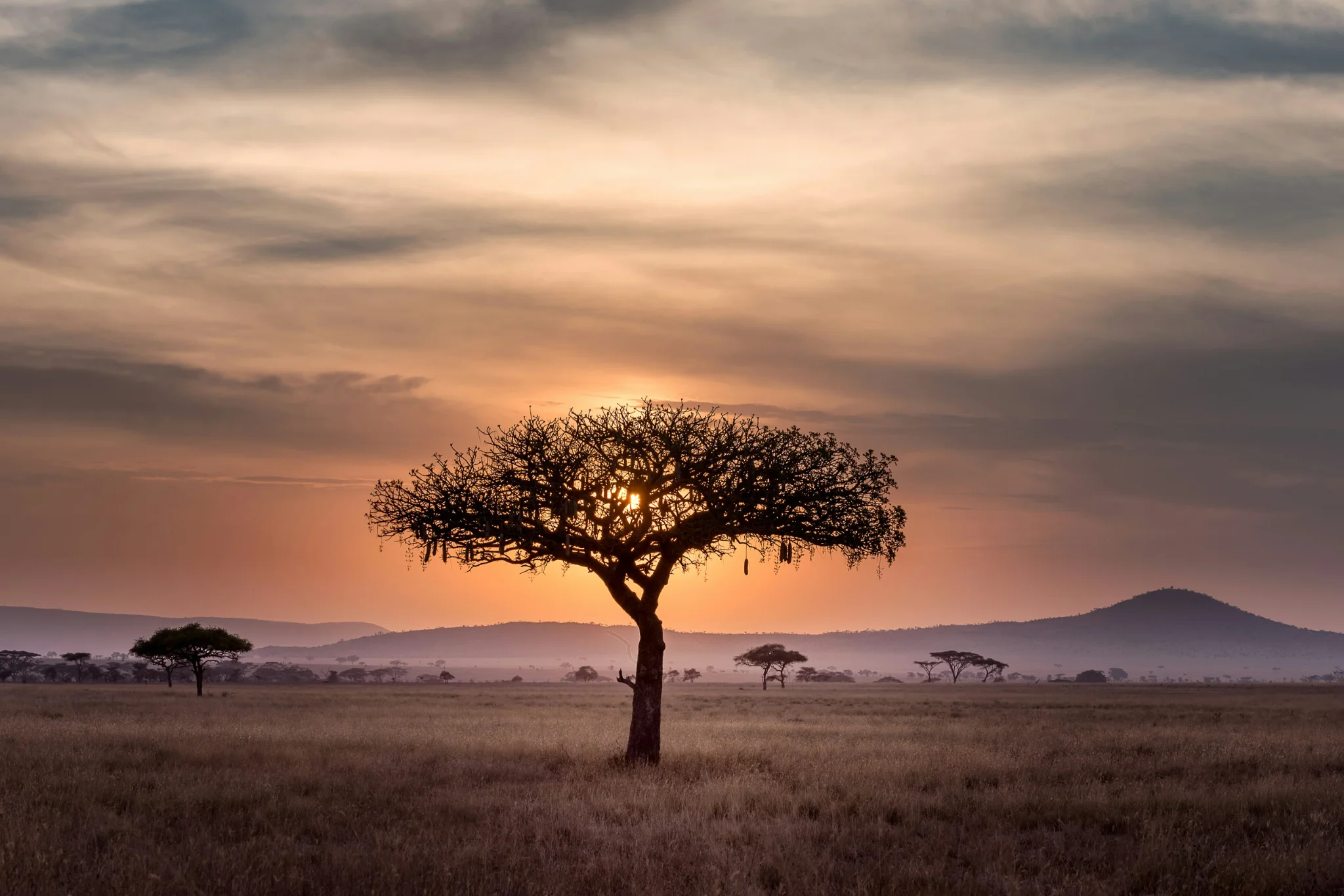 sfeerfoto - serengeti - 2