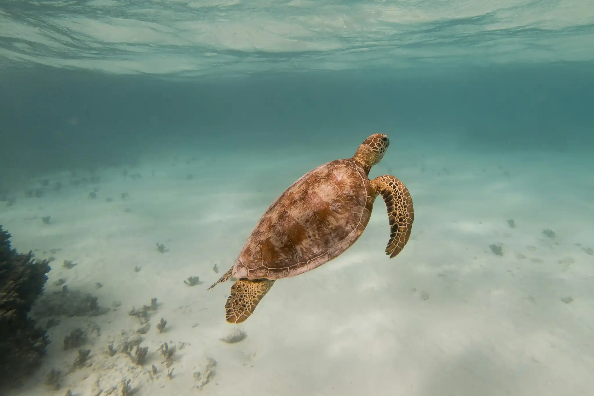 sfeerfoto - vanuatu - 5