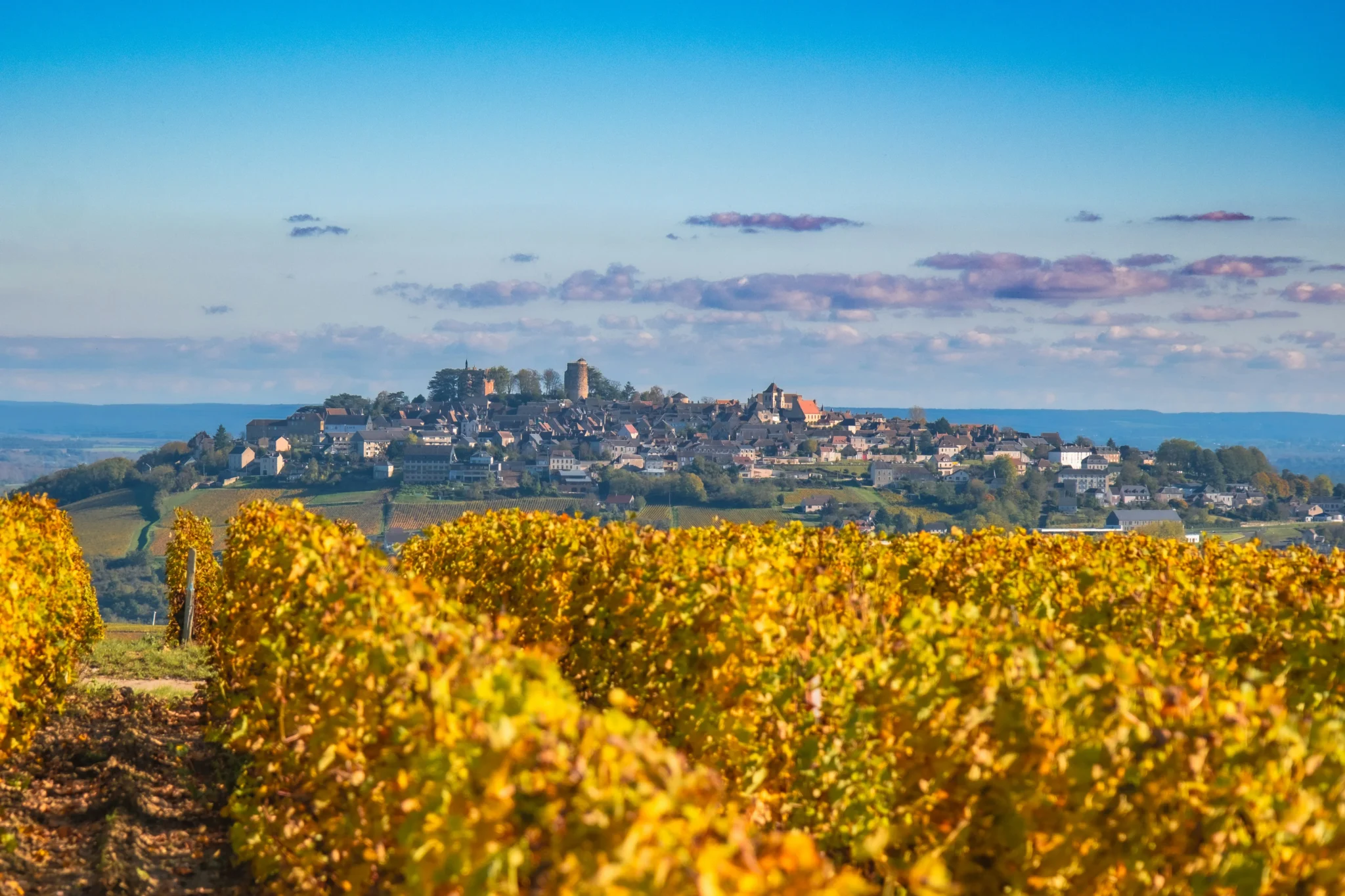 Sfeerfoto - Loire Valley - 2