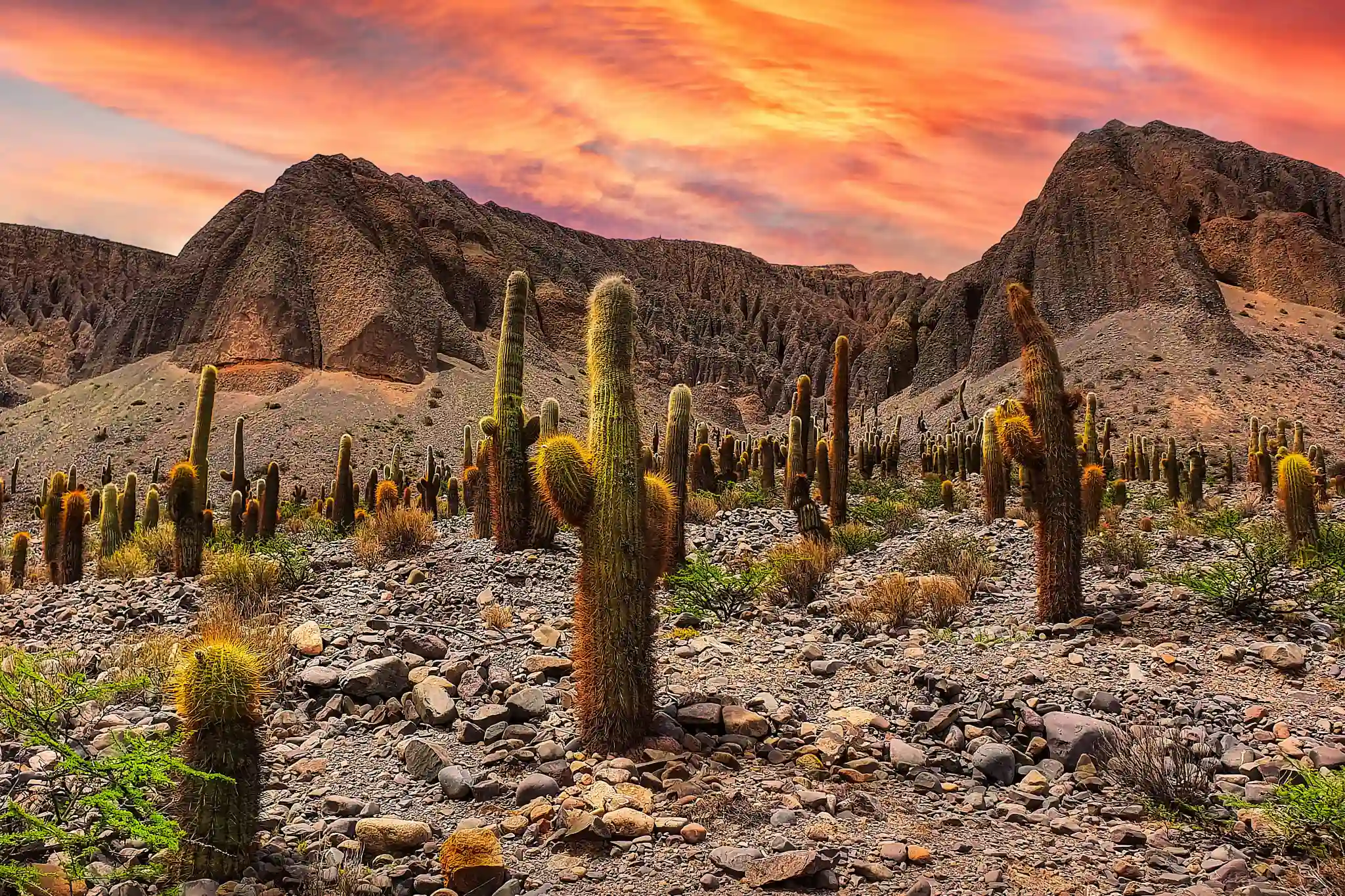 sfeerfoto - Salta - 1