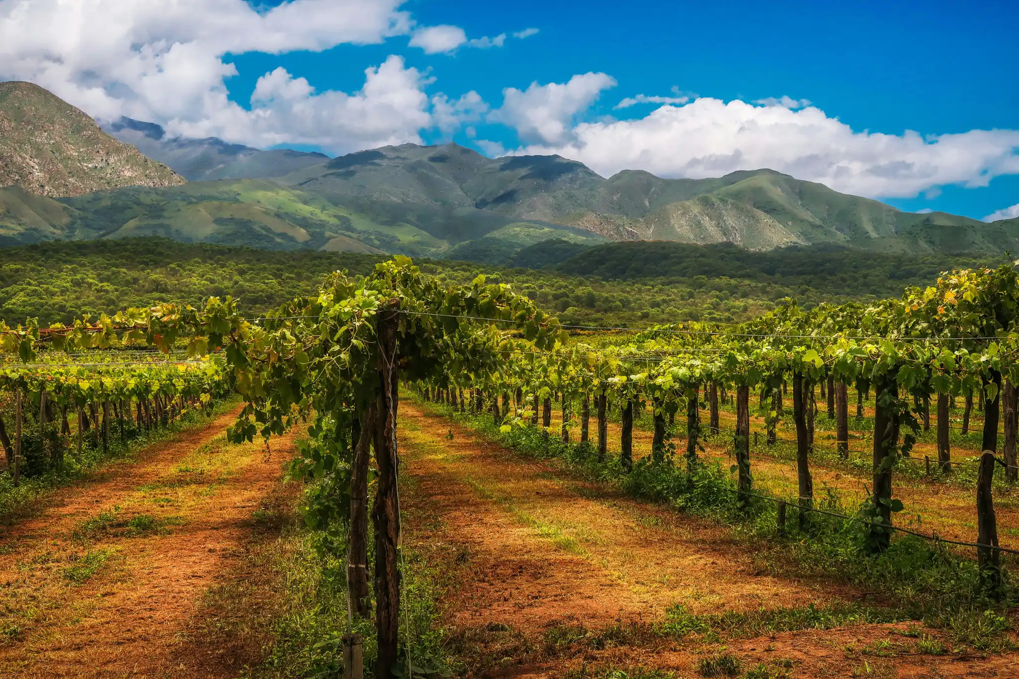 sfeerfoto - Salta - 4