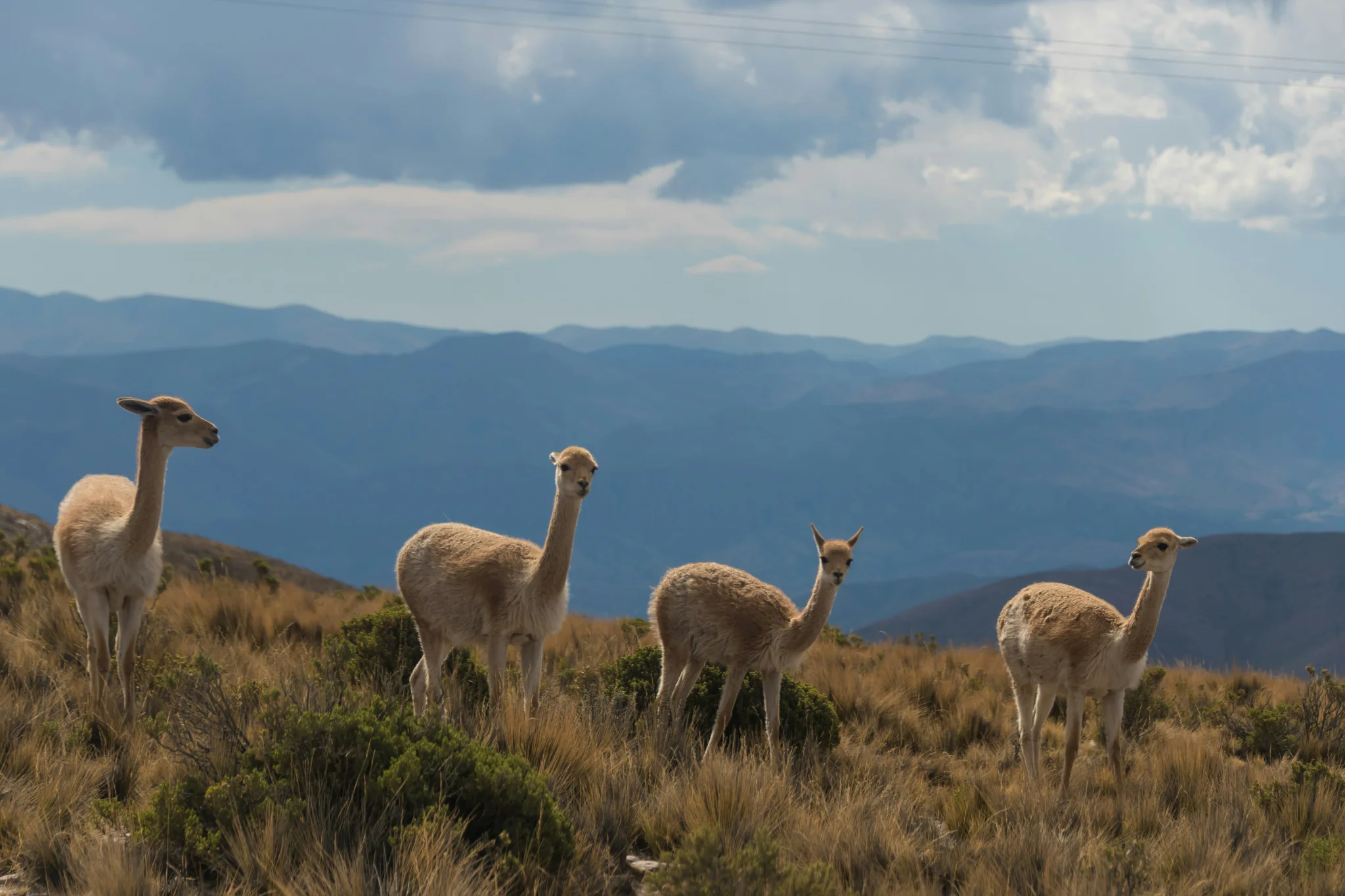 sfeerfoto - argentina - 1