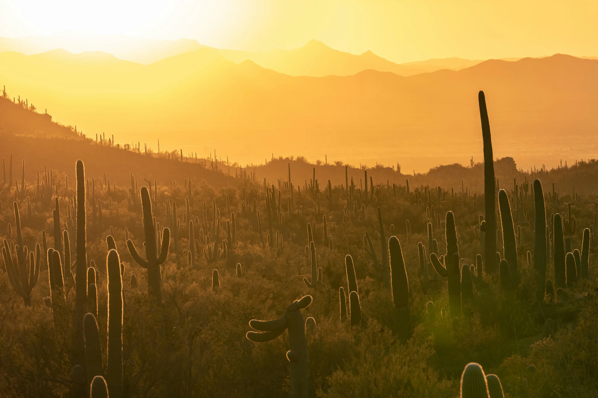 sfeerfoto - arizona - 1