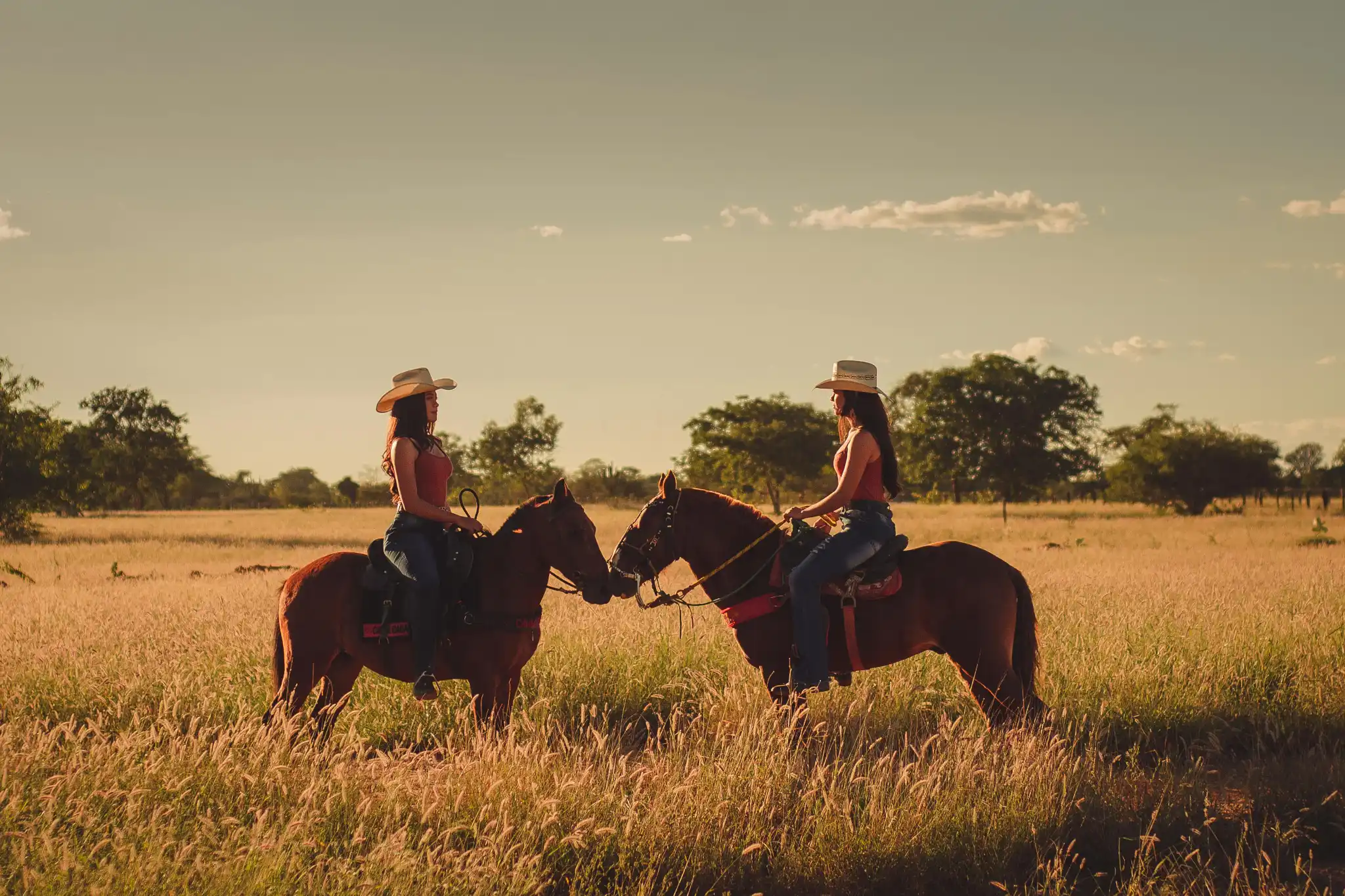sfeerfoto - bahia - 5