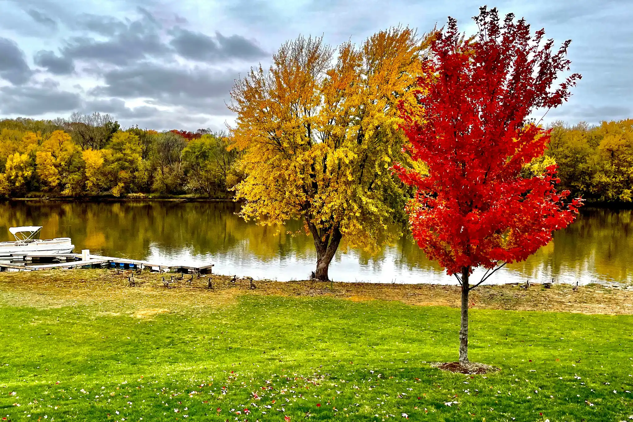 sfeerfoto - chigago - 2