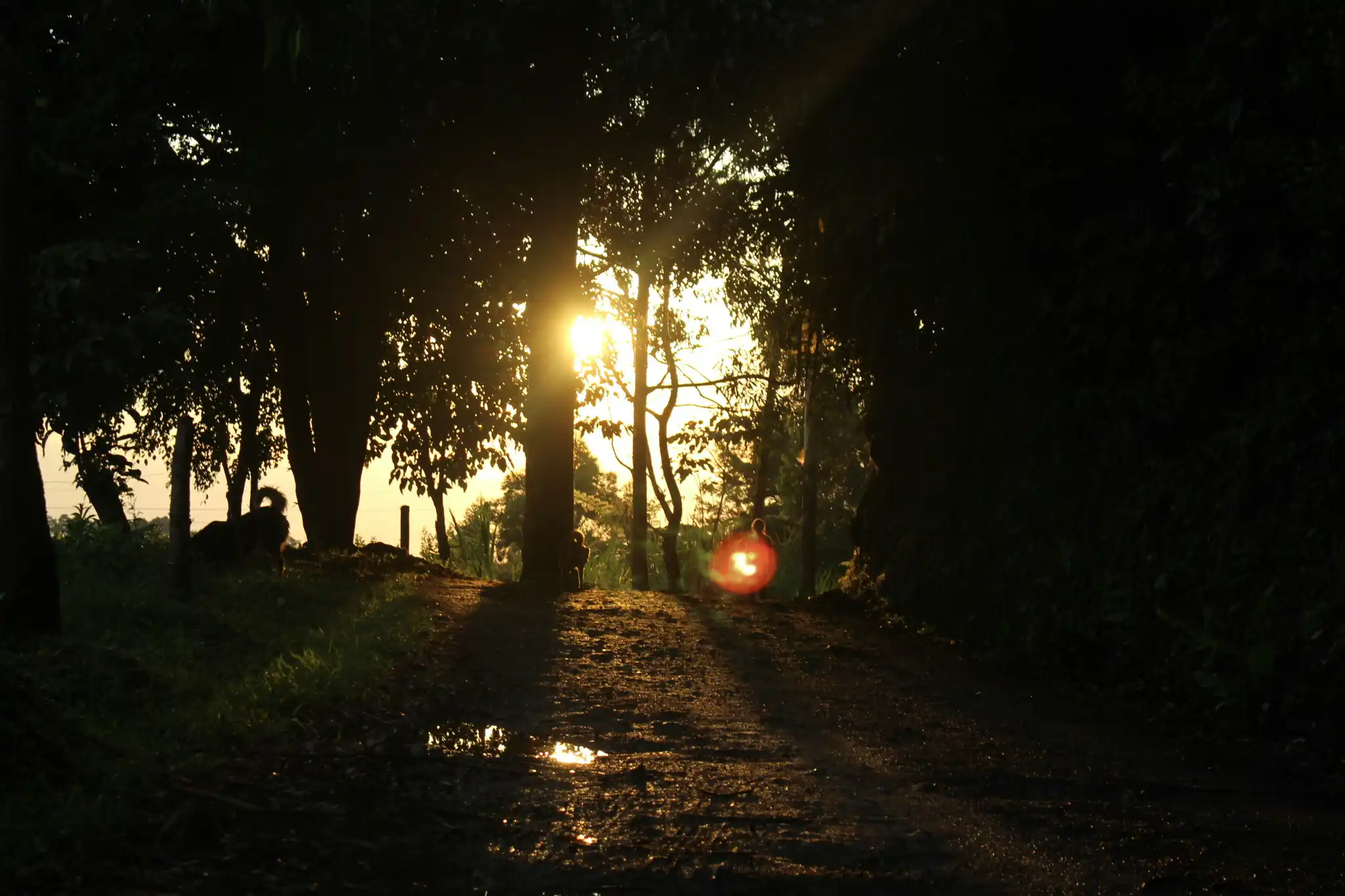 sfeerfoto - eje cafetero - 5