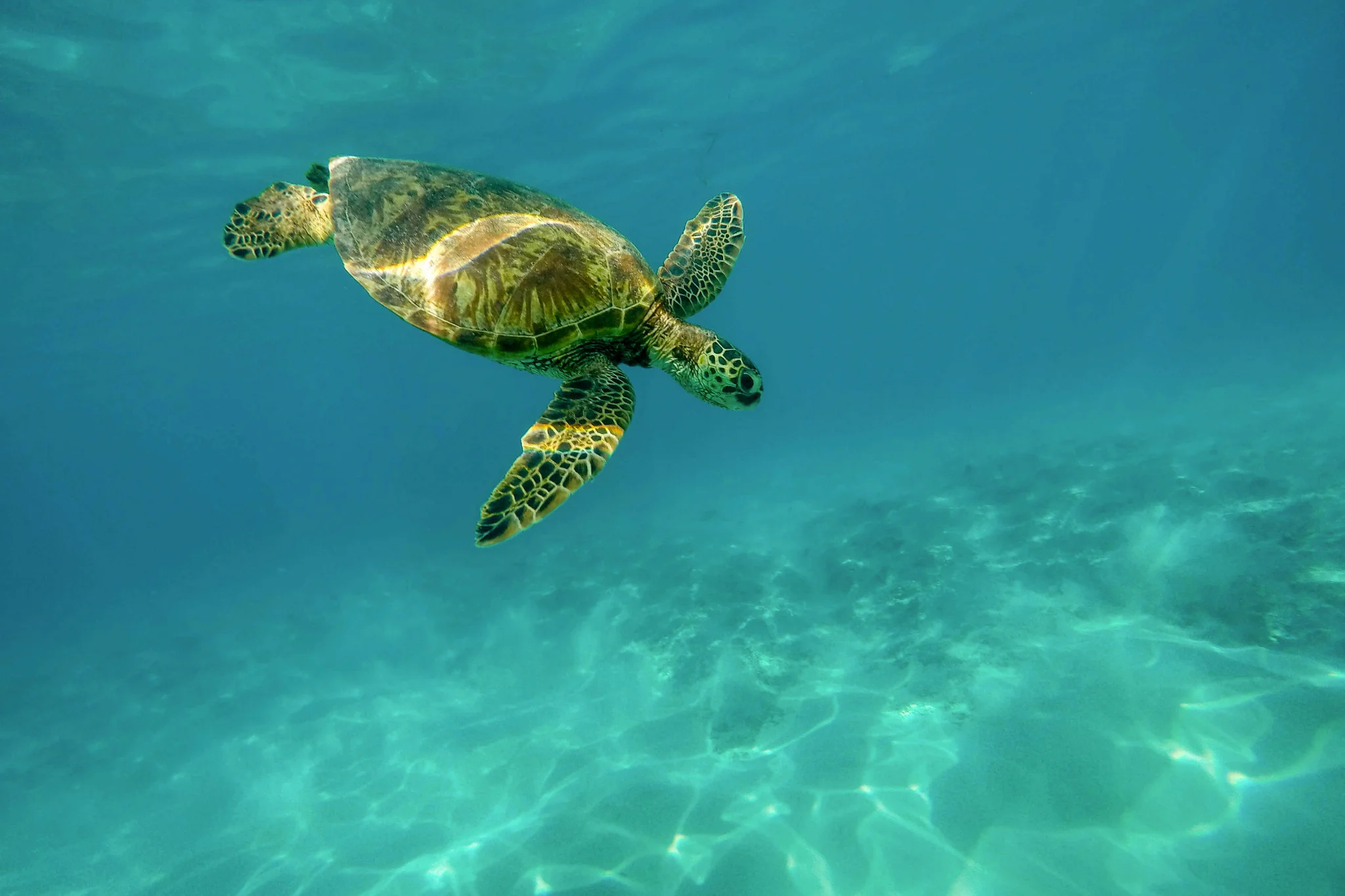 sfeerfoto - hawaii - 3