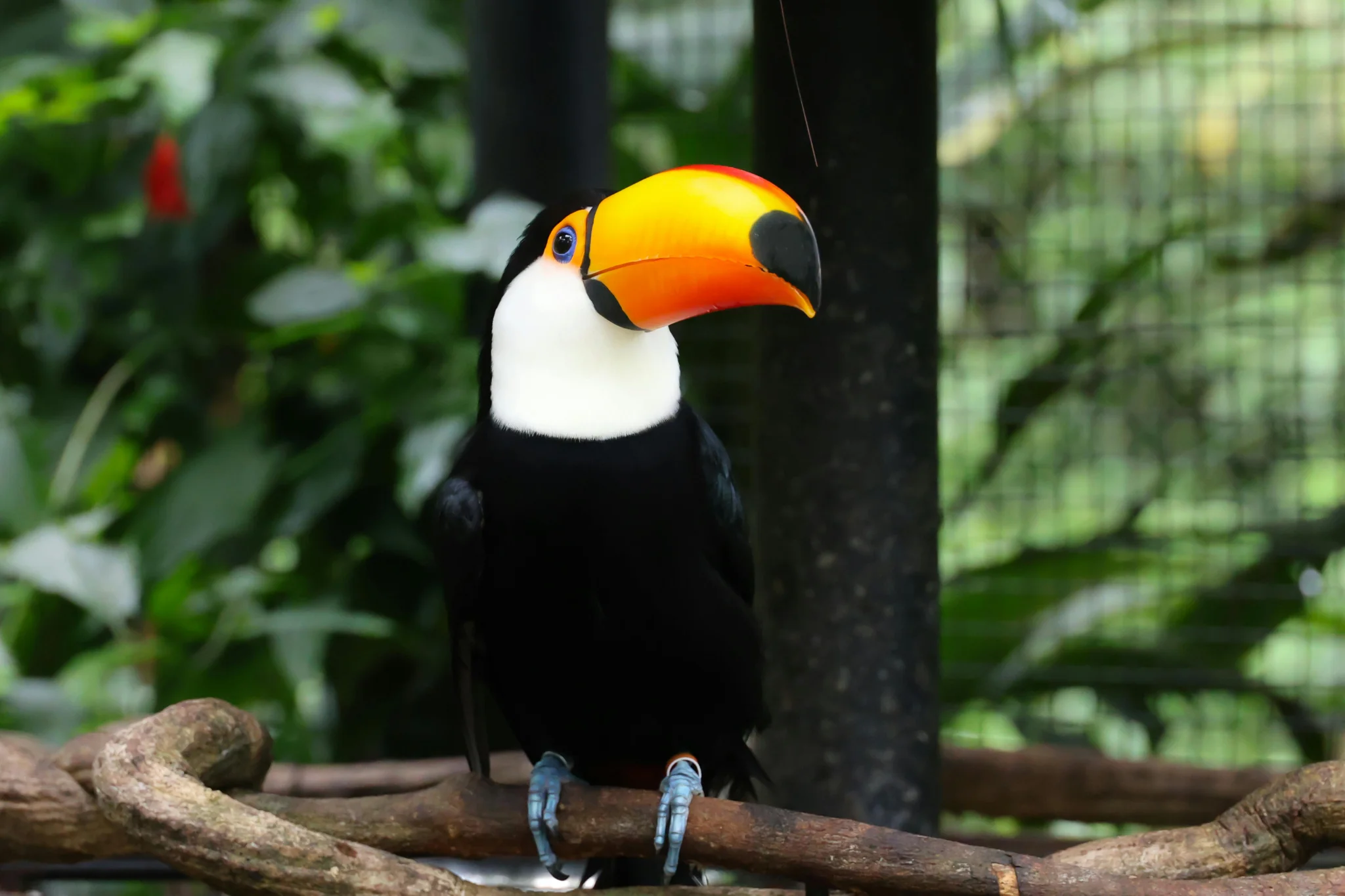 sfeerfoto - paraná - 1