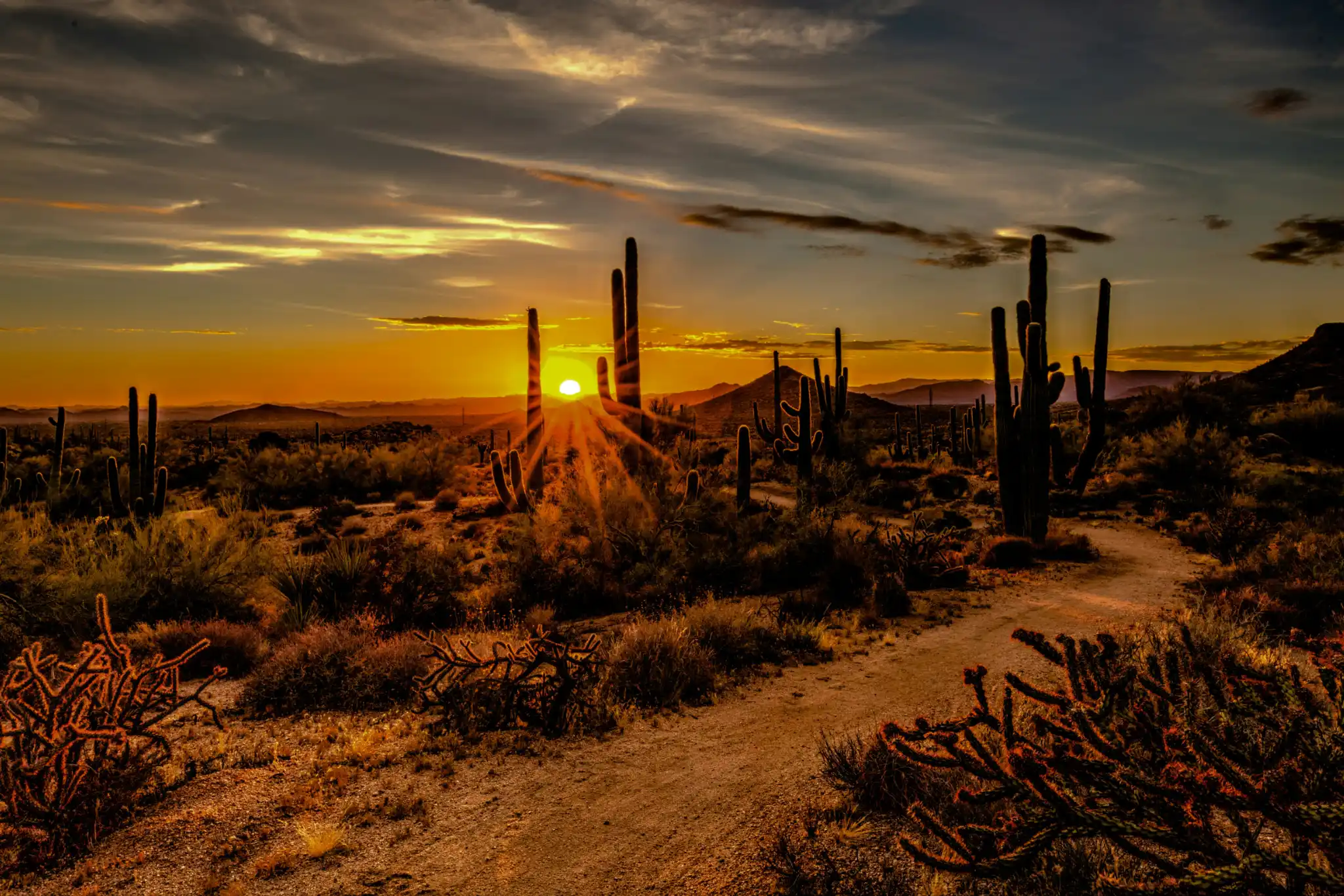 sfeerfoto - united states - 3